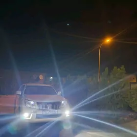 Toyota Land Cruiser Prado 2013