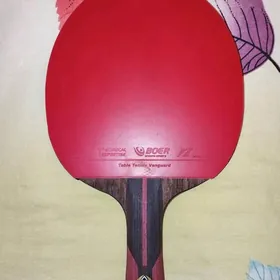 raketka ракетка