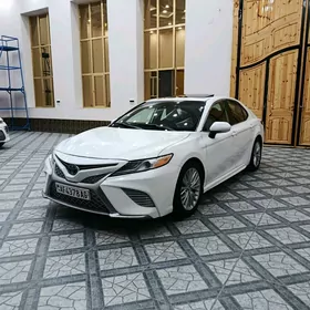 Toyota Camry 2019