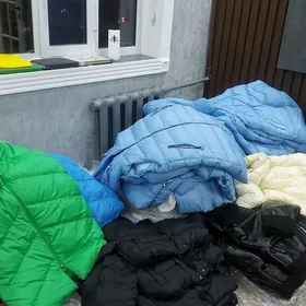 turkın jenskı egınbaşlary