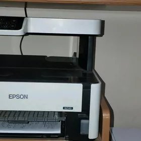 Printer epson