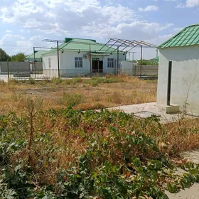 жай гокдепе хурмант