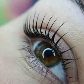 Ламинирование Ресниц и Бровей