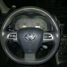 karolla s 2011 2013 rol