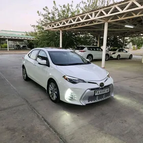 Toyota Corolla 2019