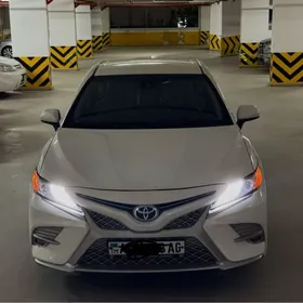 Toyota Camry 2019