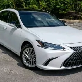 Śafyorcylyk is gozleyan