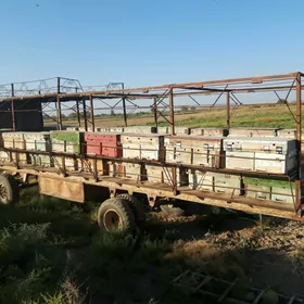 Prisep Polprisep 1992