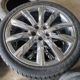 19 ARGINAL HROM   HIGLANDER