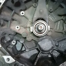 Каропка карола 1.8