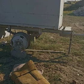 Prisep Polprisep 2022