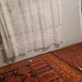 kosi gurwansoltan ugry