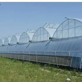 Ýyladyşhana (Teplisa)