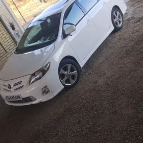 Toyota Corolla 2013