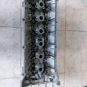 2.5 byr wanus galowka.