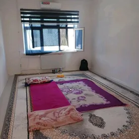 BUZMEYIN GRESS SATLYK TAZE JAY