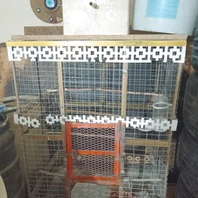 Gus kletka 0.96*0.68*0.50