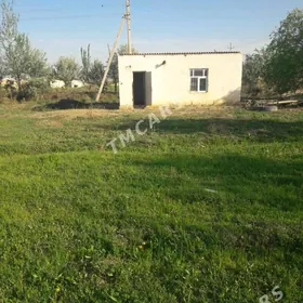 Mellek jay yer 24 sotka