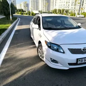 Toyota Corolla 2010