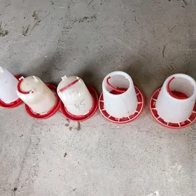 Towuk juyje suw iym berilyan