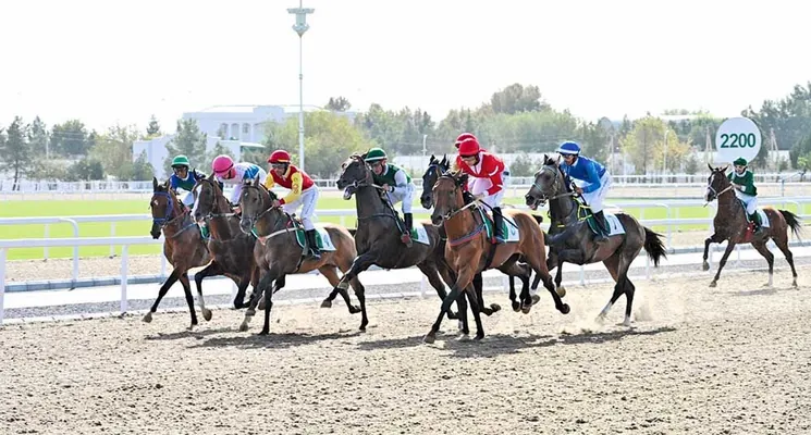 Aşgabat atçylyk sport toplumynda güýzki at çapyşyk möwsümi jemlendi