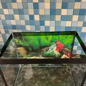 аквариум в добрые руки