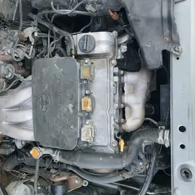 avalon mator karopka