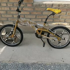 tigir duga 2 sani 1 em kama