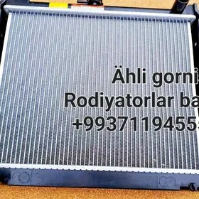 Akmulyatorlar Radiyatorlar