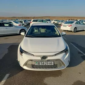Toyota Corolla 2020