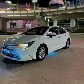 Toyota Corolla 2023