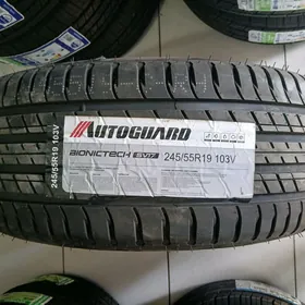 245/55/19AWTOGUARD 2025Y