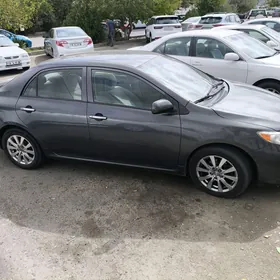 Toyota Corolla 2008