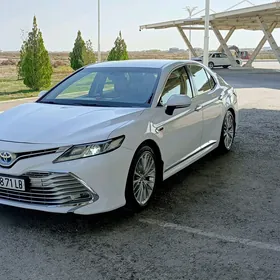 Toyota Camry 2019