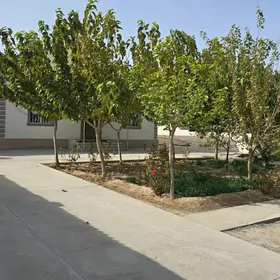 Arenda Änew Plan Jaý