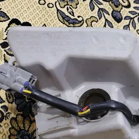 Tumannik Orginal Aziýada Camry