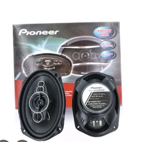 pioneer kolonka