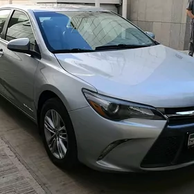 Toyota Camry 2016