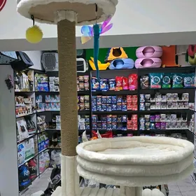 когтеточки