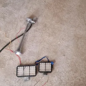 welik cyra we signal