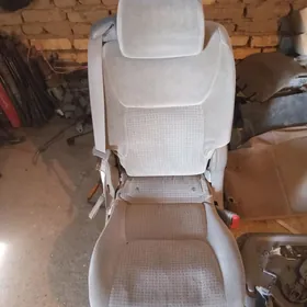 sienna sidenya zavot