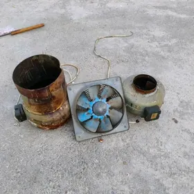 2Howalandyrma wyteska