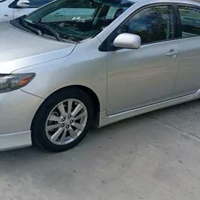 Toyota Corolla 2010