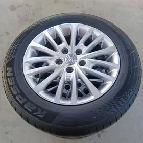 limited 3 disge pakryşga 16