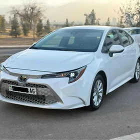 Toyota Corolla 2022