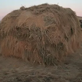 Ёрунжа 2 телешка .