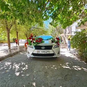 Toyota carolla Bamper x