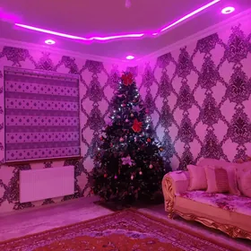 arça ýolka ёлка