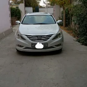Hyundai Sonata 2010
