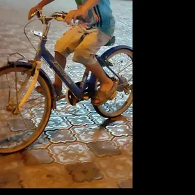 welik 20lik gok renkde yitdi